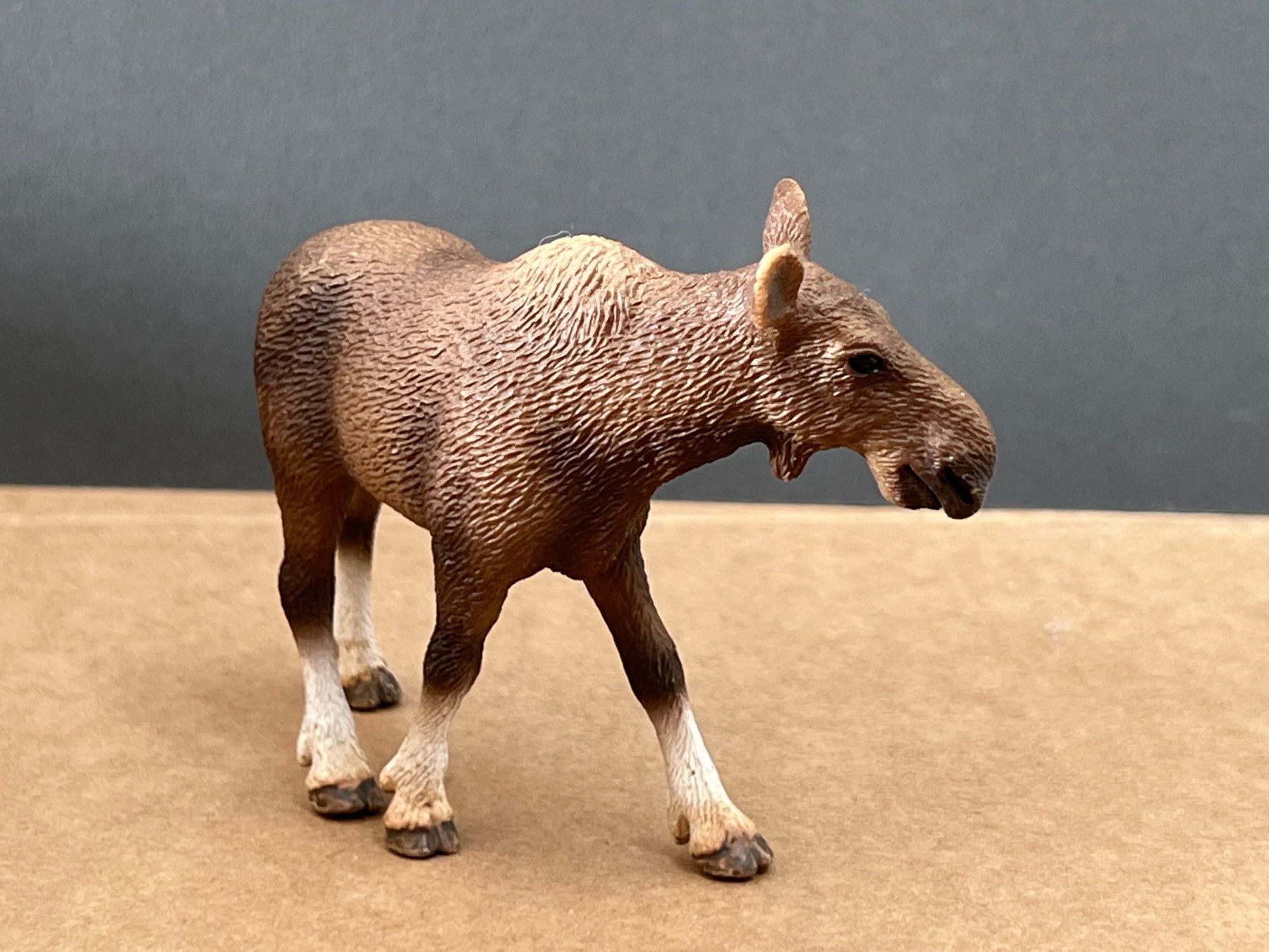 Schleich Statuette: Schleich 14620 Elch Kuh – Usato da Ennetbaden venduto da mapa05 1