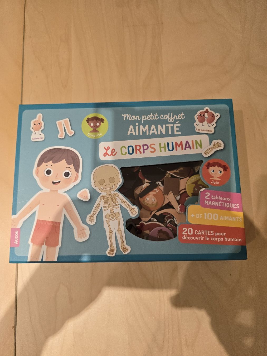 Spielzeuge: Aimant:  Le corps humain et des saisons – Gebraucht aus Bossonnens von zla_cg8d 3