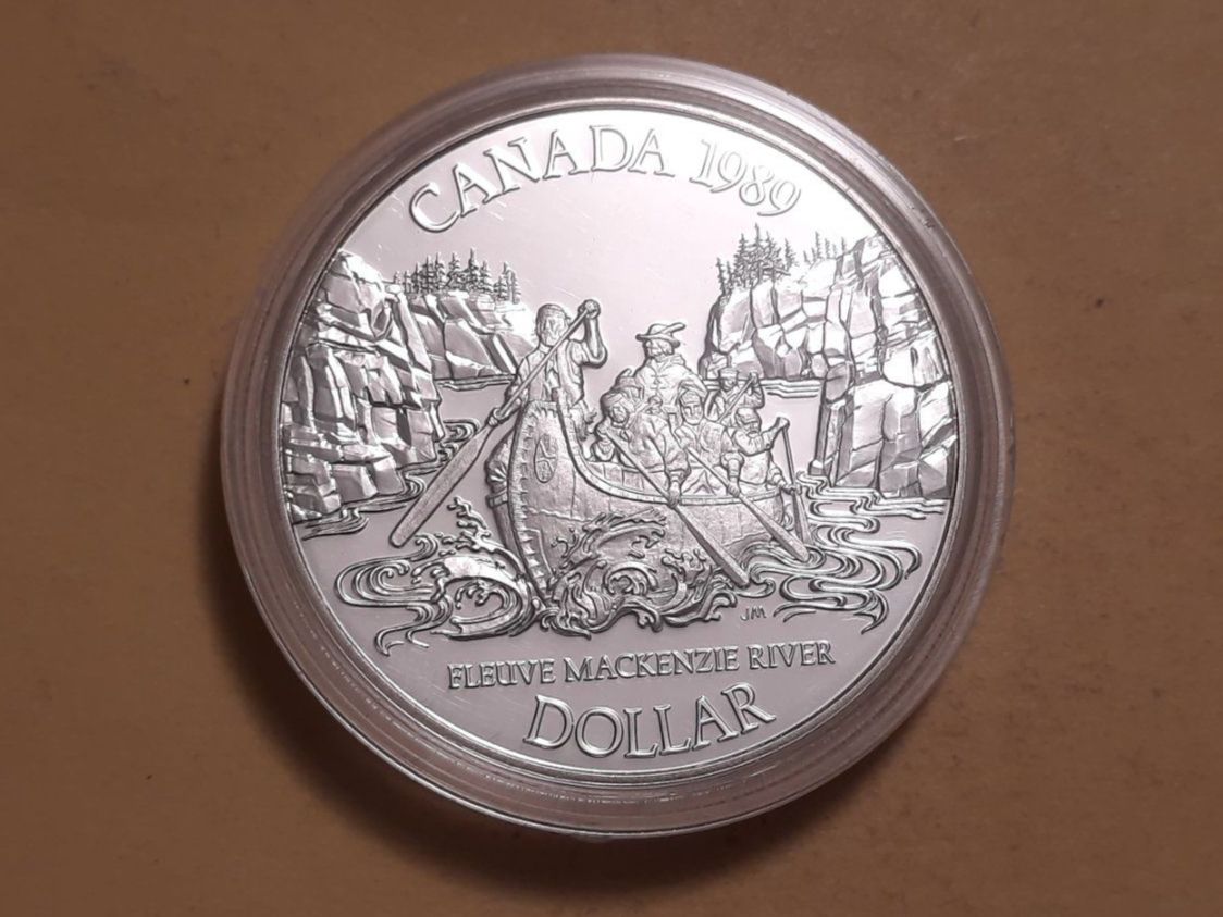 Tutti le monete: Kanada 1 Dollar "MacKenzie River" 1989 Silber – Usato da Buchs SG venduto da numispatica
