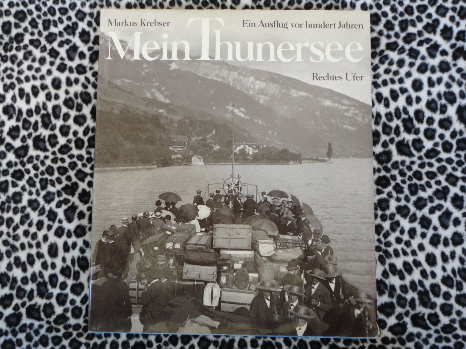 Libri: THUN - Mein Thunersee - 1. Auflage ab CHF 1.00 – Usato da Thun venduto da art.design.BK