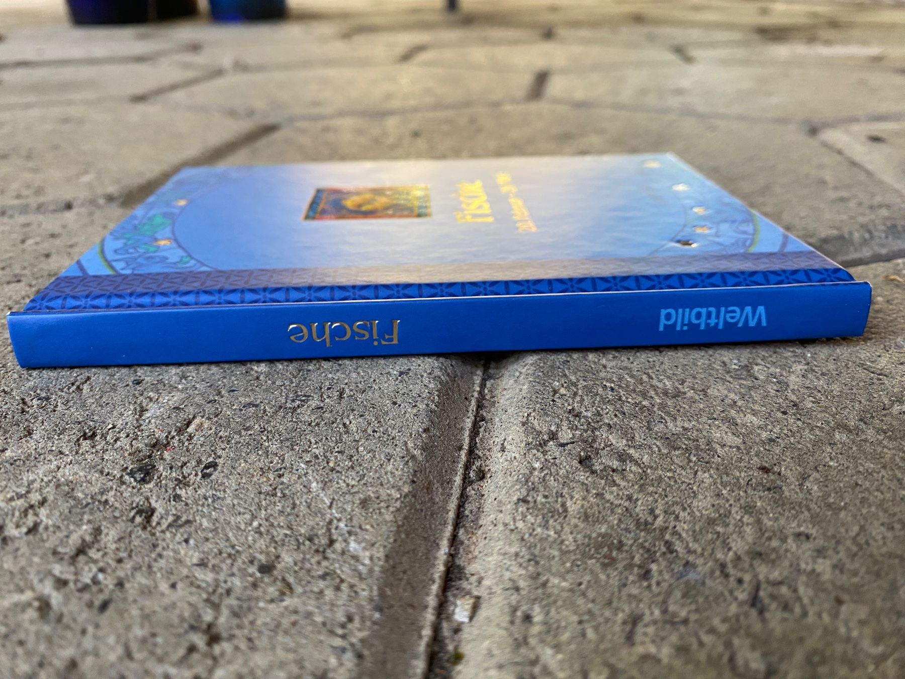 Libri: Fische Sternzeichenbuch und Sternzeichenkärtchen – Usato da Holziken venduto da _Catja_ 2