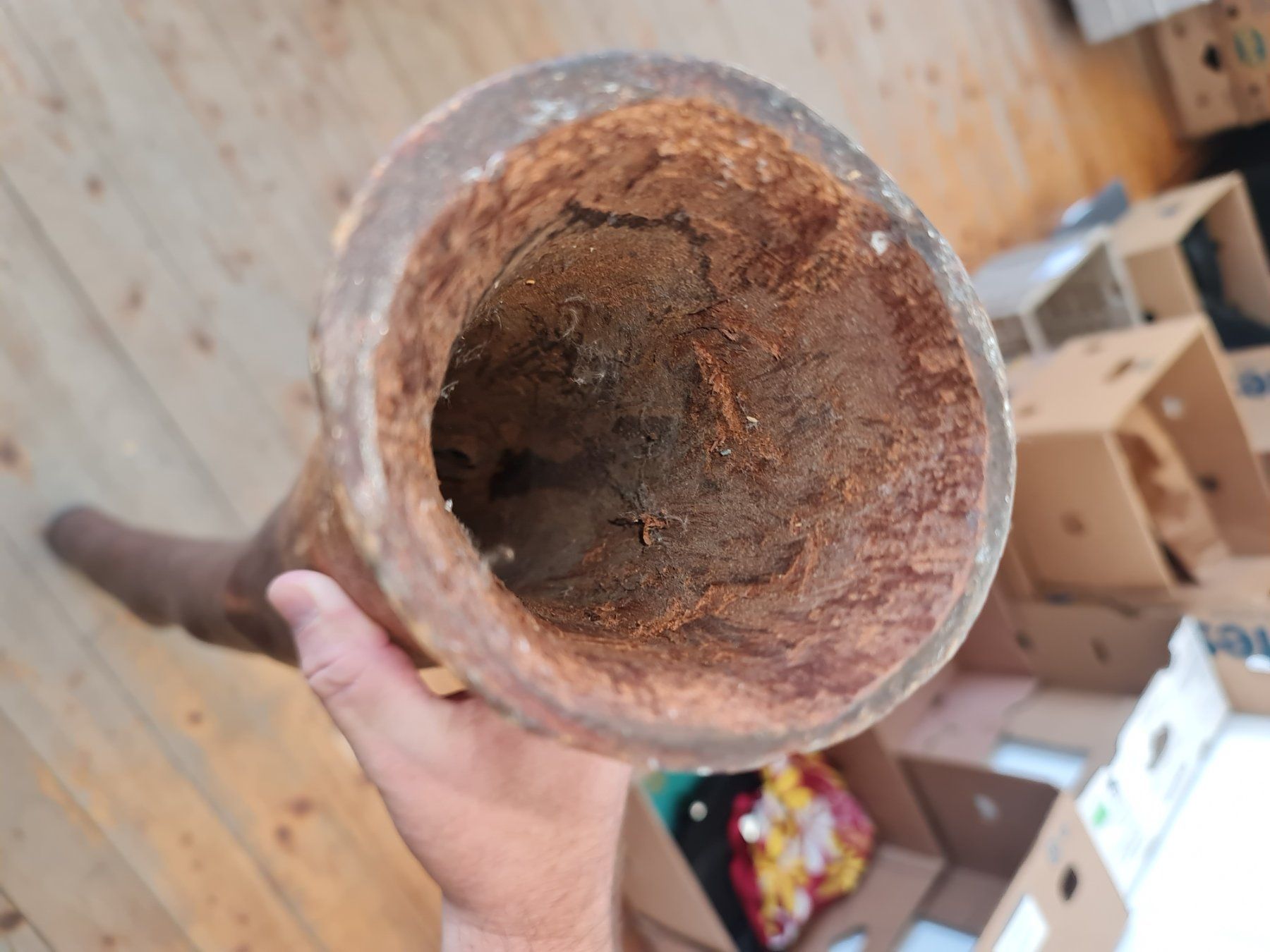Strumenti musicali: Didgeridoo – Usato da Degersheim venduto da Tosam_Degersheim 1