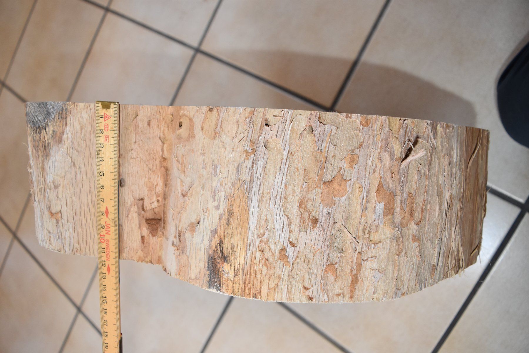 Articoli in legno: Baumscheibe Eiche – Usato da zizers venduto da beatk02 2