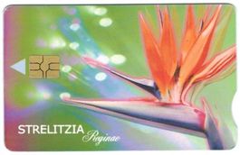 Telefonkarte Südafrika Strelizia Reginae