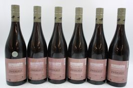 6x Zweigelt Niederösterreich - Rotwein (26081162Z)
