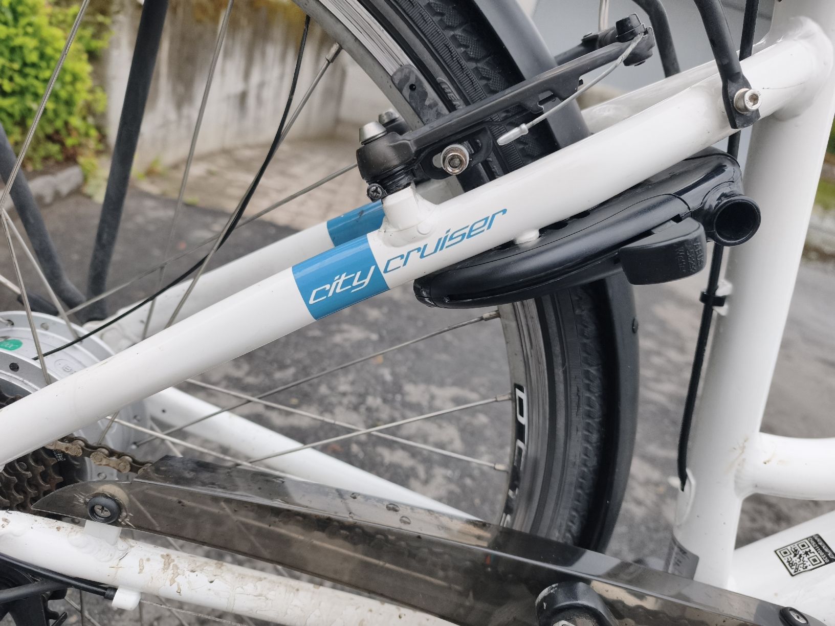 Leopard Vélos: Leopard E-Bike defekt – Défectueux à Chur par tun_dy8m 7