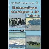 Überlebenskünstler Kaiserpinguine in der Antarktis