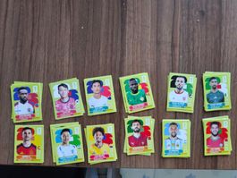 Diverse Panini 2026