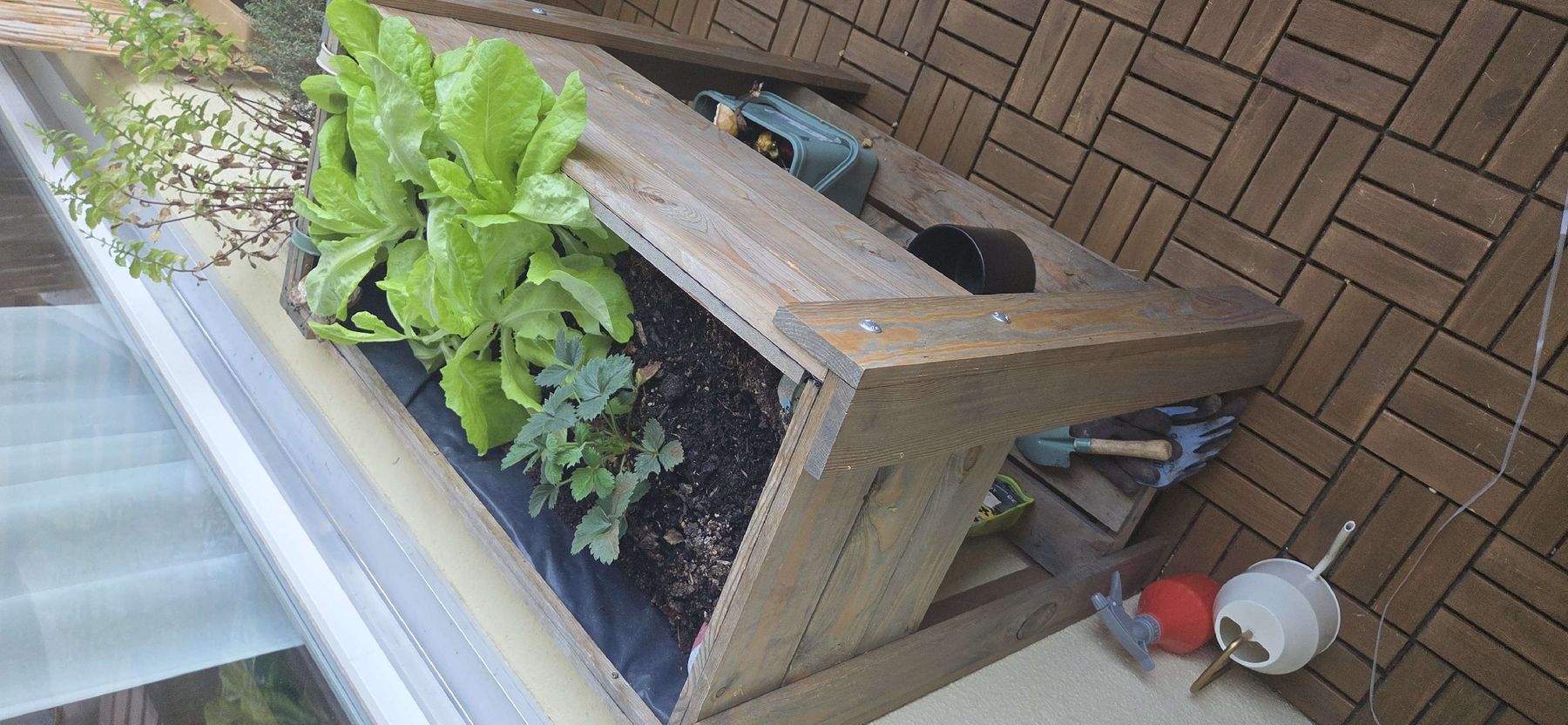 Box contenitori: Holz Hochbeet – Usato da Steffisburg venduto da Ni_c95