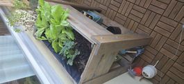 Holz Hochbeet