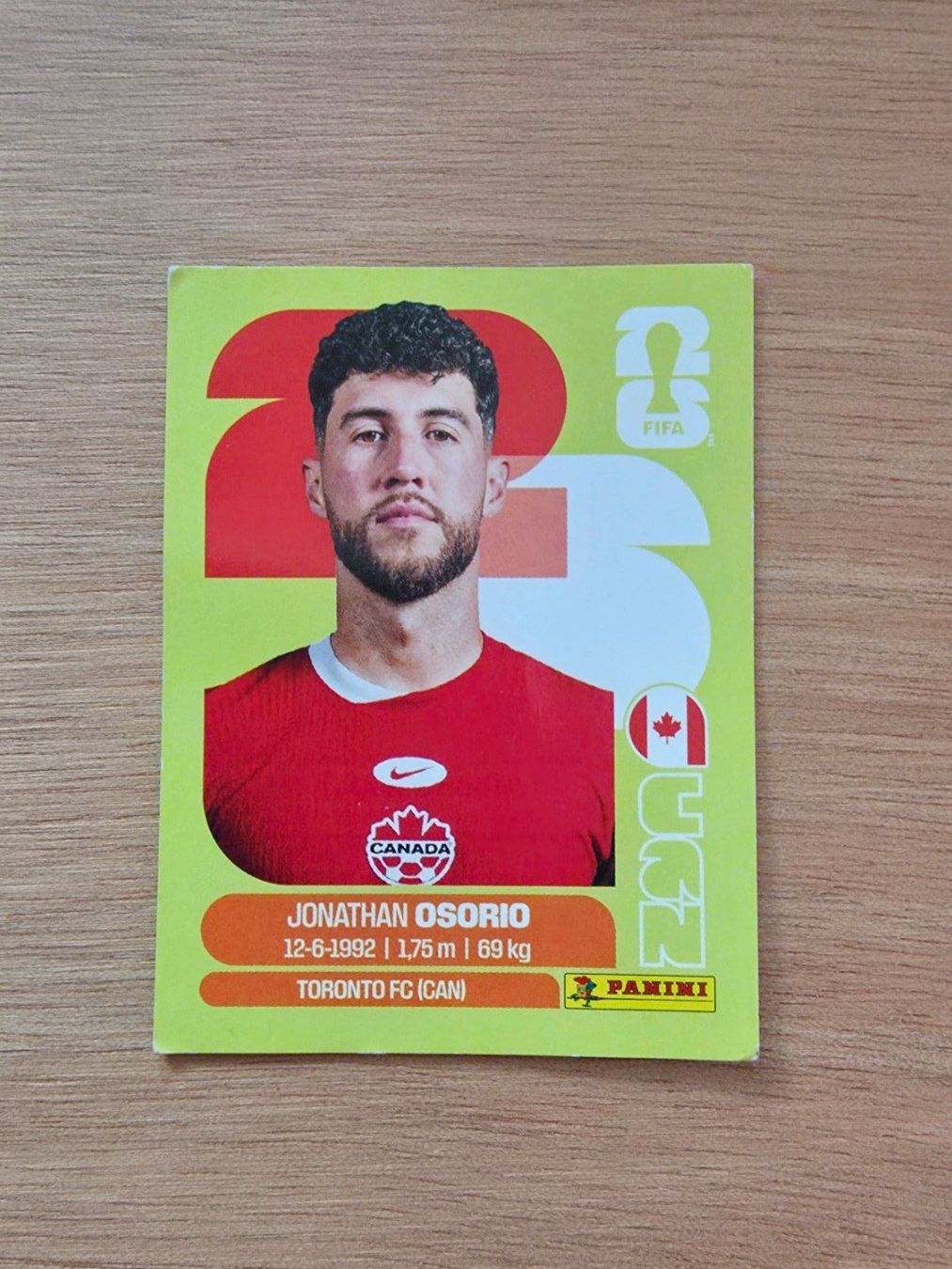 Panini Carte collezionabili: Panini Fifa CAN 12 – Usato da Malters venduto da mat_6102