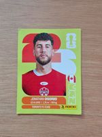 Panini Fifa CAN 12