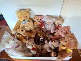 Konvolut Steiff und Teddy Teddybären Jubiläums Editionen