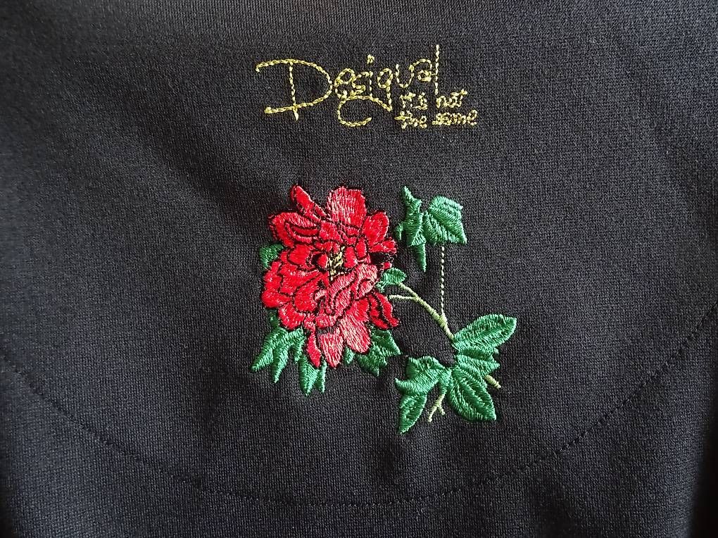 Desigual Kleider: Kleid Desigual – Neu (gemäss Beschreibung) aus Niederbipp von PiaZ01 2