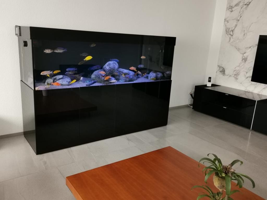 Acquari: Aquarium 200x60x70 – Nuovo (secondo la descrizione) da Berikon venduto da fischundart 1