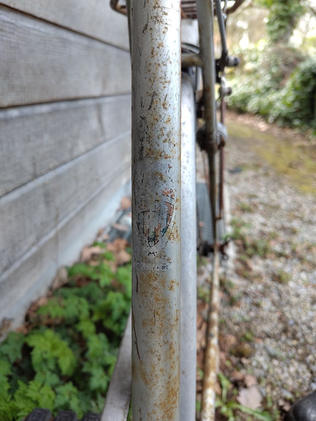 Biciclette: Fahrrad – Difettoso da Wetzikon ZH venduto da m.n.i.gantenbein 2