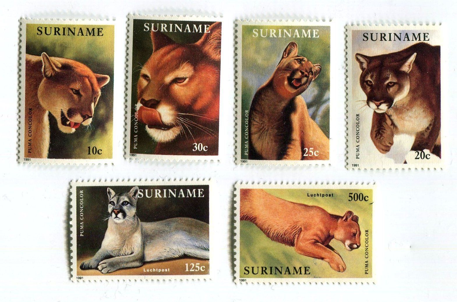 Tous les timbres: Briefmarken "Puma". Suriname – Neuf avec emballage d'origine à Basel par Butsch5