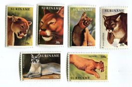 Briefmarken "Puma". Suriname
