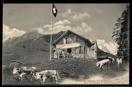 AK Breitlauenen, Restaurant Schönegg