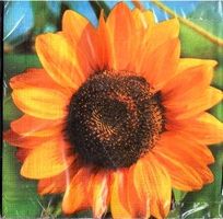 2 Servietten grosse Sonnenblume