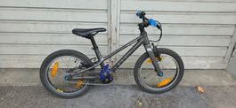 Specialized Jett Kindervelo 16 Zoll in super Zustand