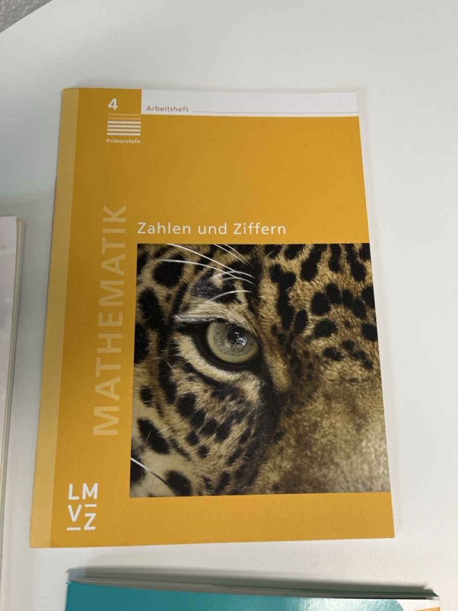 Libri: Diverse Lehrmittel Mathe und Deutsch – Usato da Wolhusen venduto da Sammler16 6