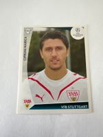 Panini UEFA Champions League 2009-2010 - Nr. 462