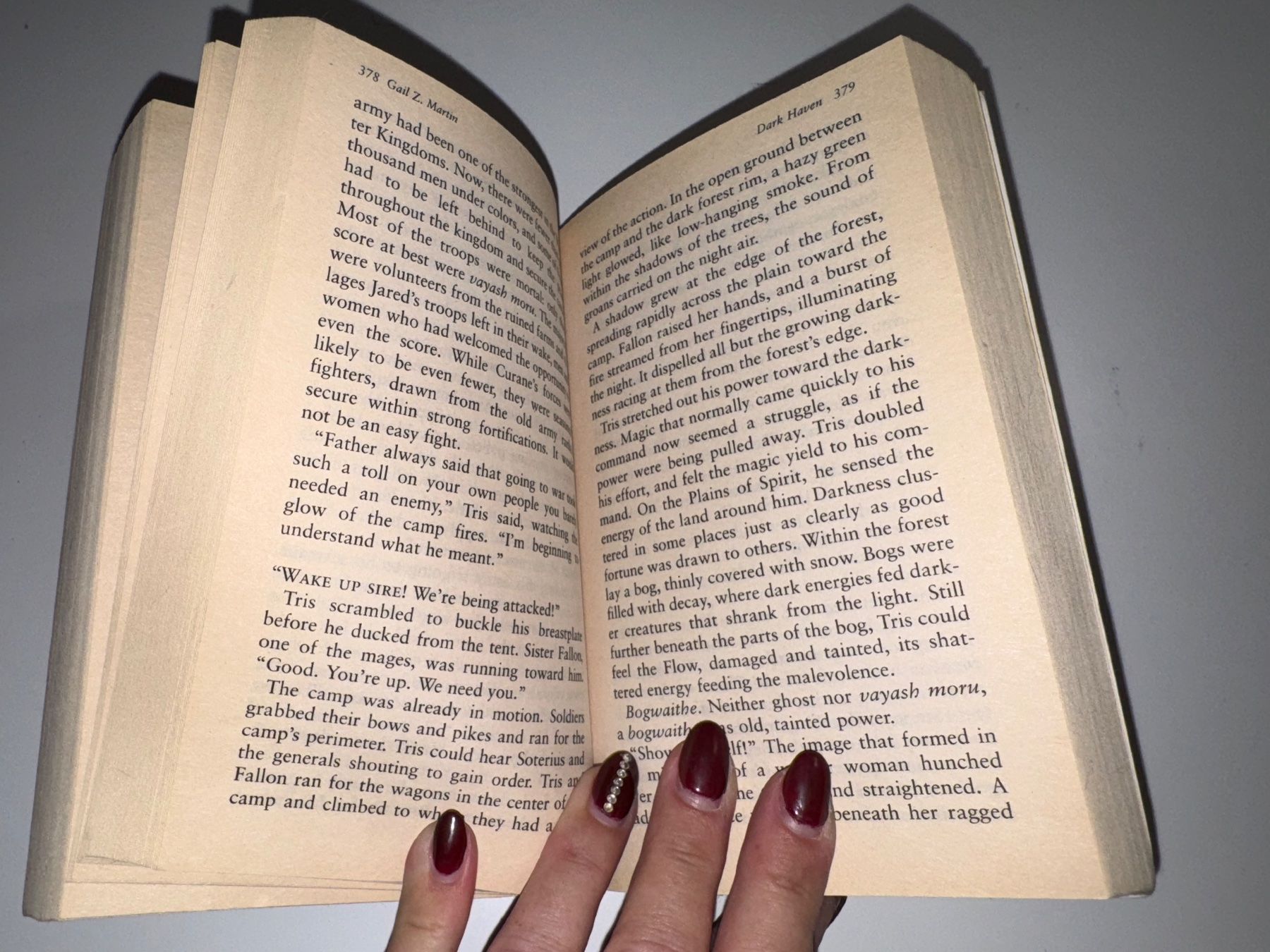Libri: NOVEL: Gail Z. Martin, Dark haven – Usato da Grosswangen venduto da English_books 6