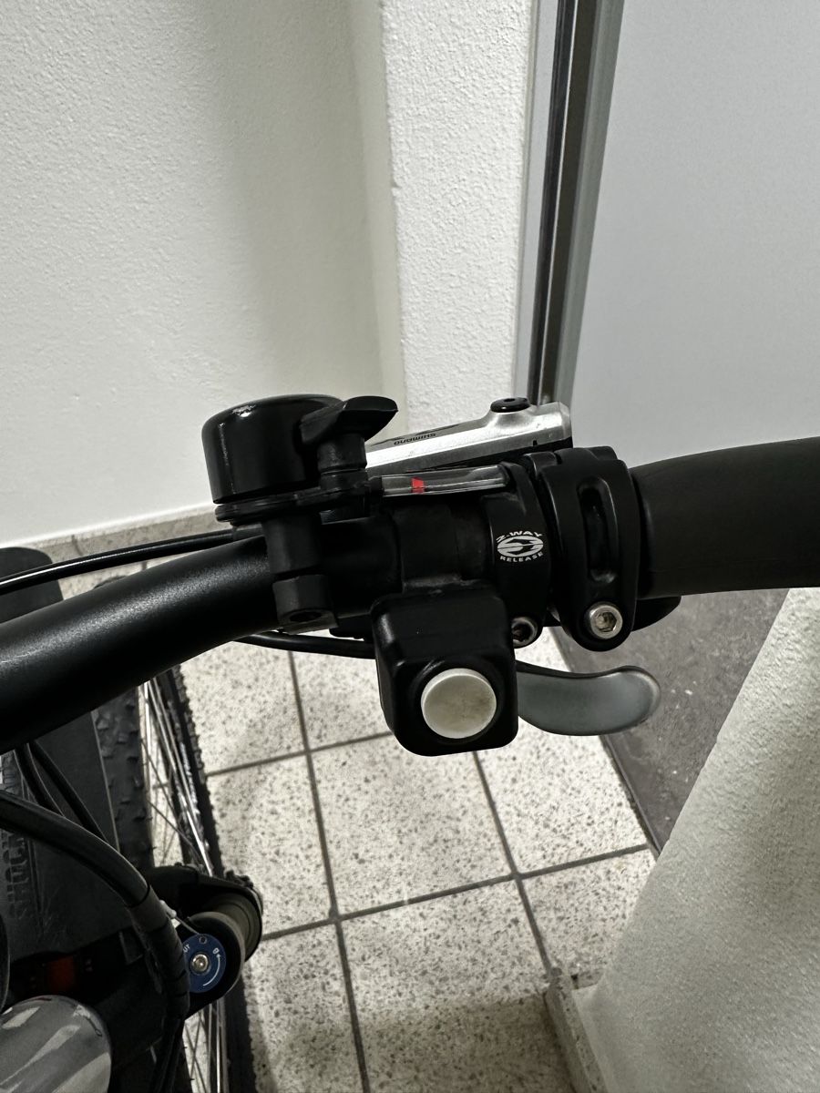 Flyer Velos: Flayer E-Bike Fuly – Gebraucht aus Landquart von GR30022 4
