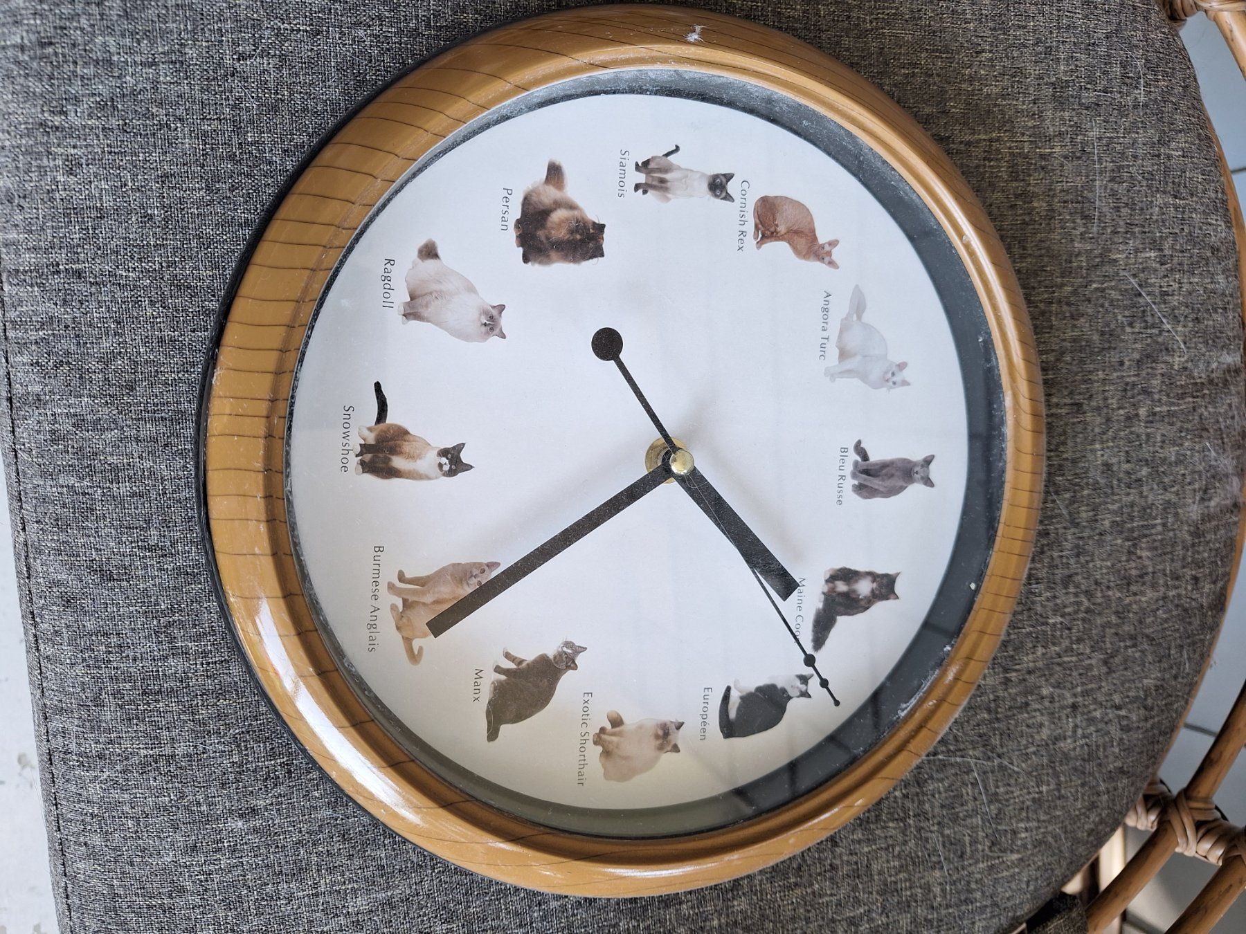 Orologi da terra & Orologi da parete: Pendule – Nuovo (secondo la descrizione) da Kloten venduto da flo_r5hm 5