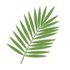 Profile image of heyLani