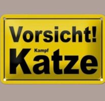 🔥 VORSICHT KAMPF KATZE Blechschild 🎀 12x18cm OVP 🔥