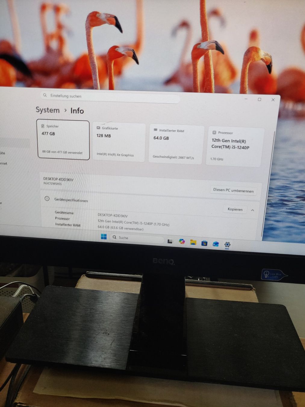 Intel PCs: Intel SWNUC12WSHi5000 64GB Ram, 500GB SSD – D'occasion à Azmoos par rooss1 2