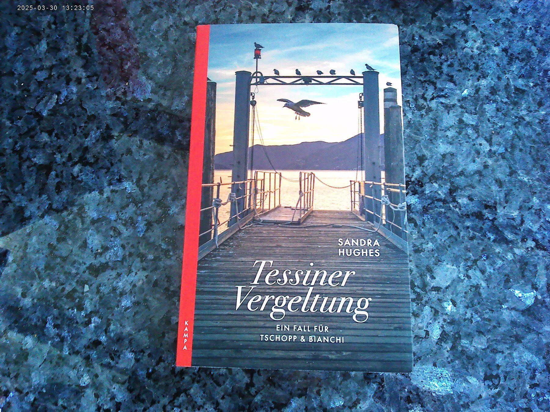 Libri: Tessiner Vergeltung von Sandra Hughes – Usato da reitnau venduto da Sib7