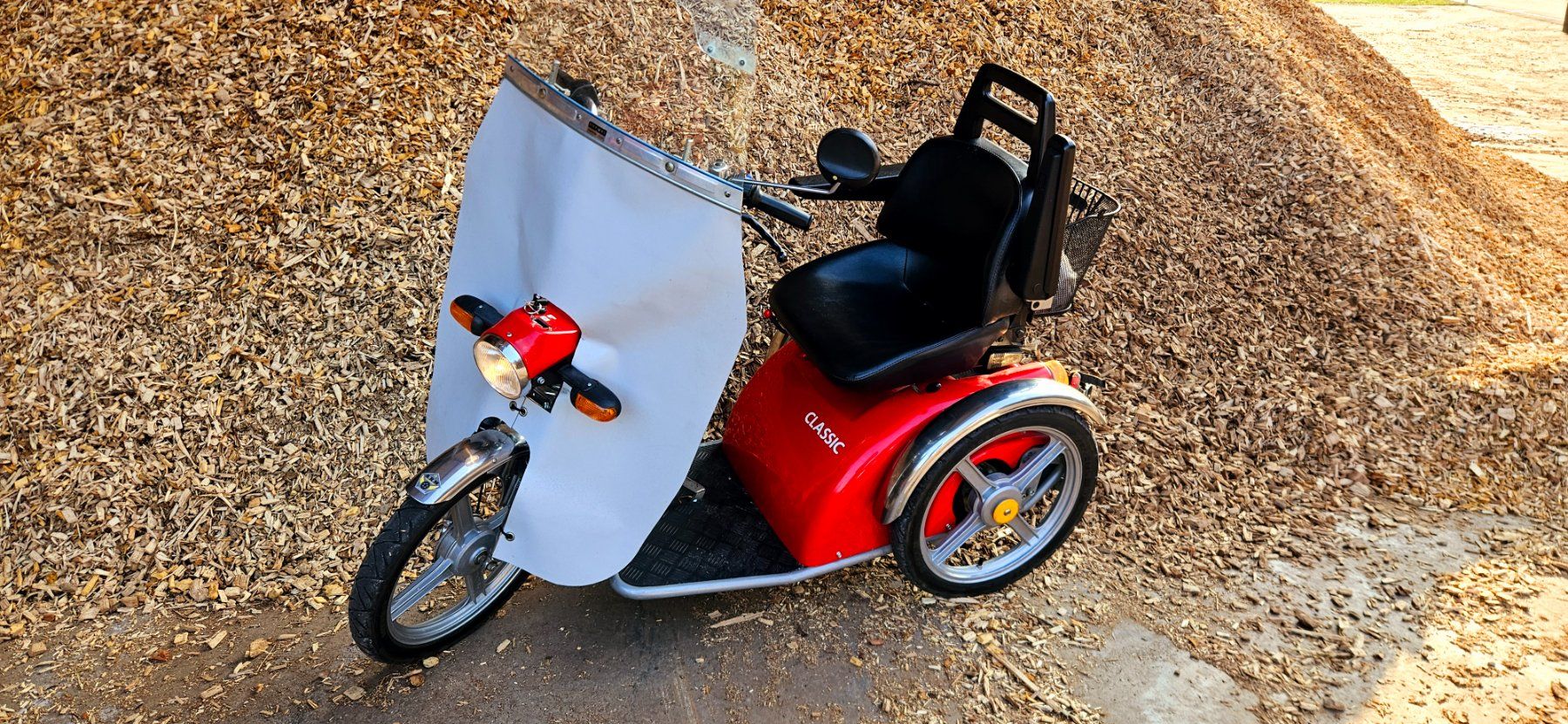 Kyburz Veicoli elettrici: 3 Rad Elektro Rollstuhl 6/20  Km/h – Usato da Mogelsberg venduto da wer_kgr2 2
