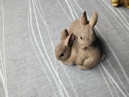 2 HÄSLI