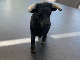 Schleich Stier