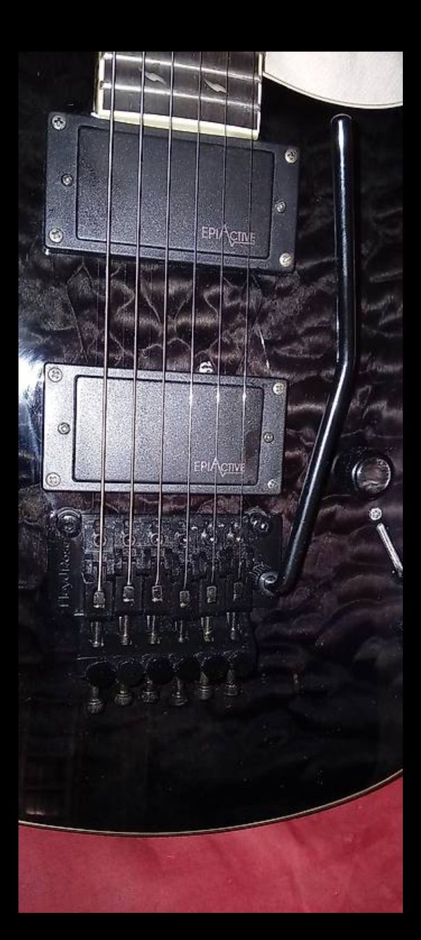 Epiphone Strumenti musicali: EPIPHONE EM-2 PROPHECY CUSTOM (AKTIV) – Usato da STAUFEN venduto da skullshredder 1