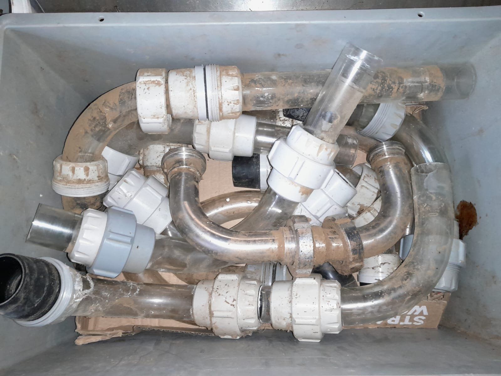 Tutte le macchine: Alfa laval / Delaval/ Melkmaschine – Usato da Bennau venduto da Vigispez 2