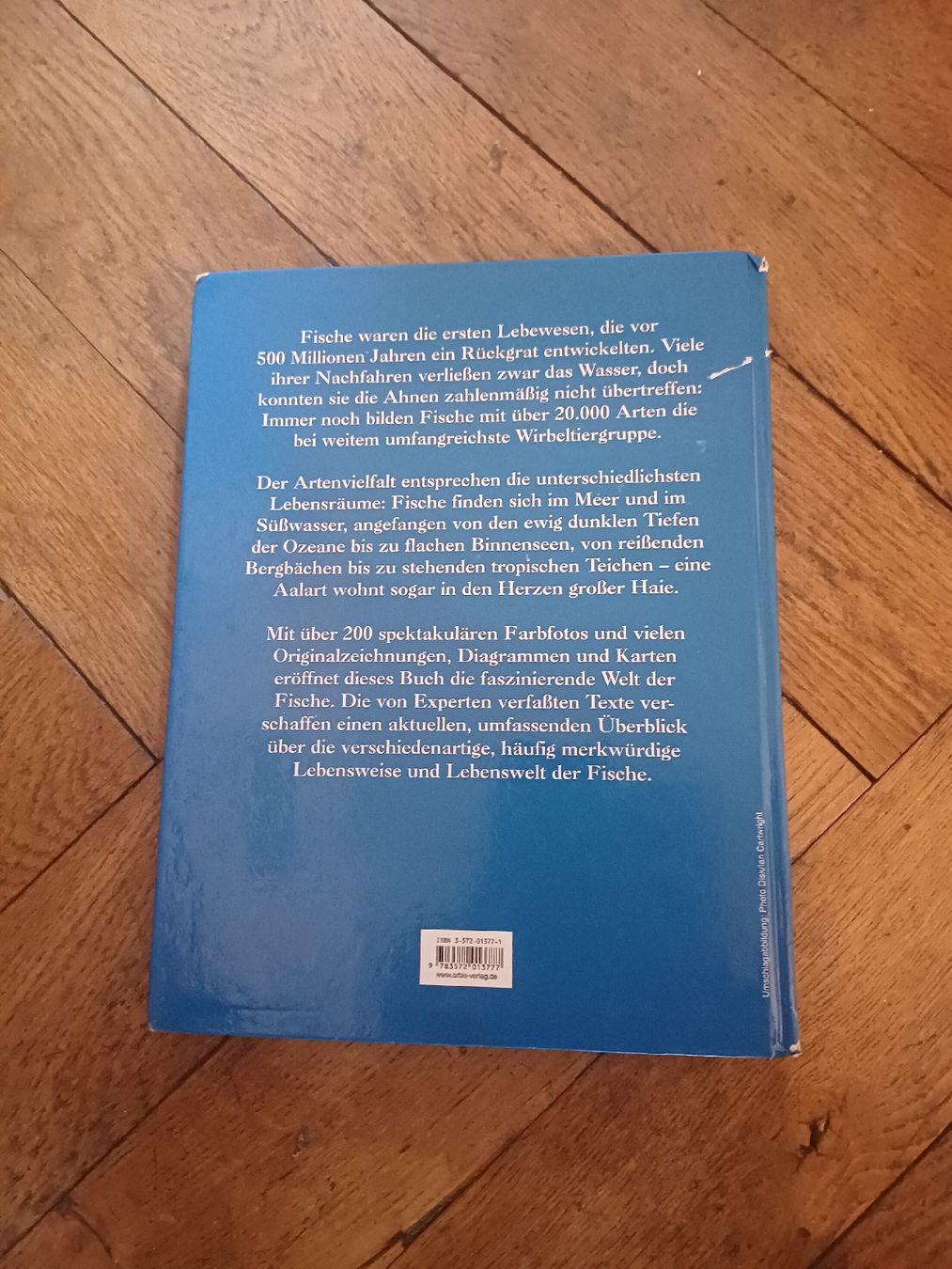 Libri: Fische Enzyklopädie – Usato da Schönenwerd venduto da pomodor 1