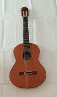 Almansa Senorita 435v, Conservatory spanische Gitarre
