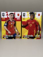 Panini Adrenalyn XL - 451 & 452