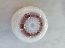 Clarisonic Gesichtsbürste Ultraschall Ersatzbürstenkopf neu!