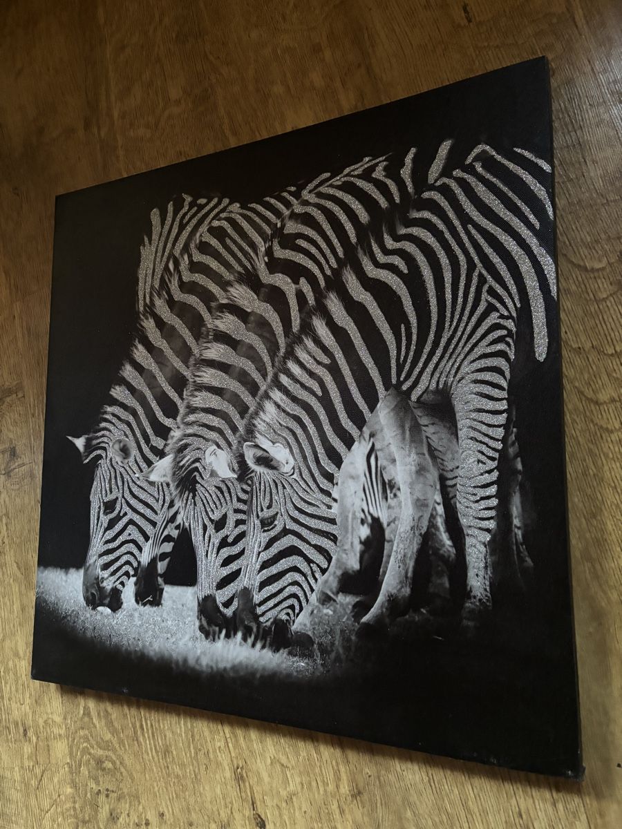 Poster & Bilder: Zebra Glitzer Bild – Gebraucht aus Burgistein von Cross_over