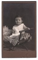Fotografie Beiser, Solothurn, niedliches