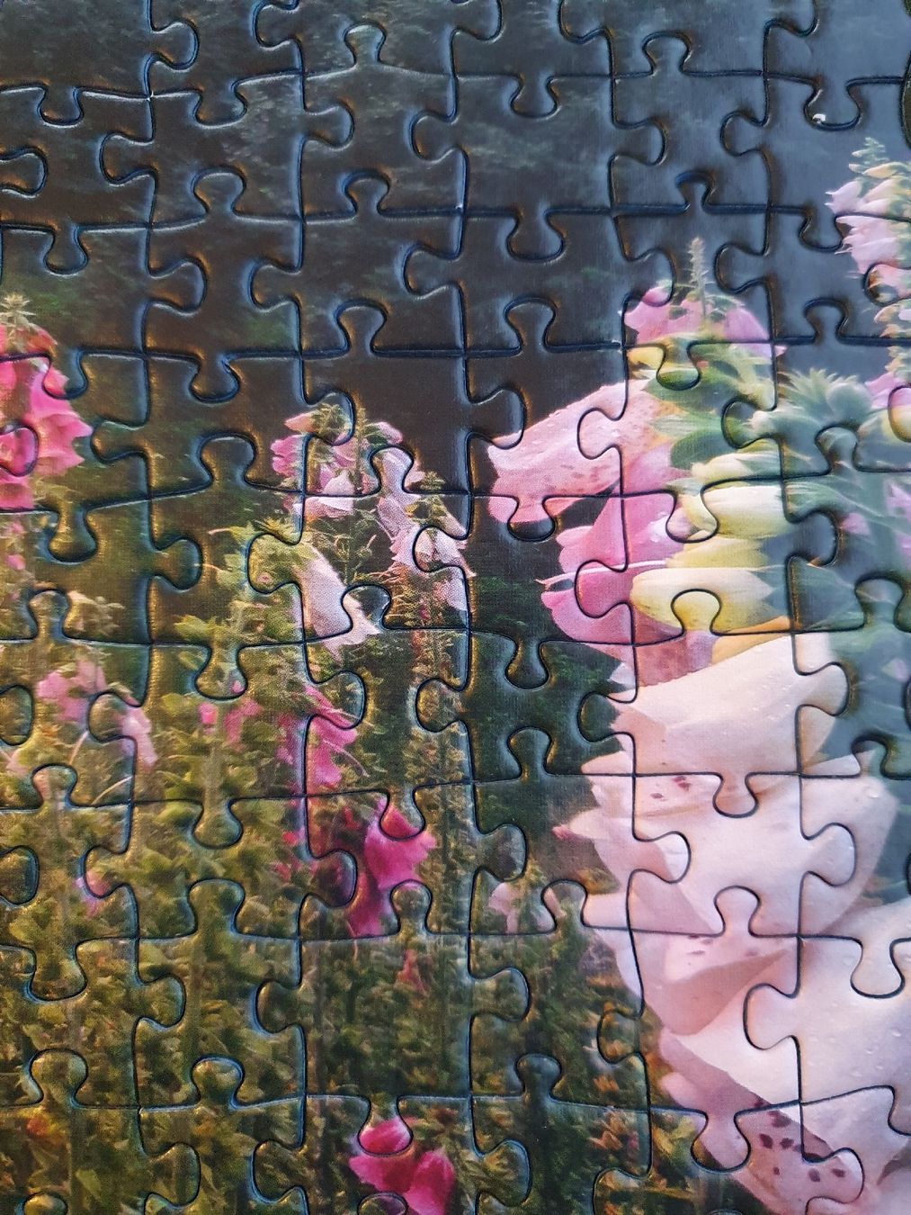 Ravensburger Puzzle: Puzzle 1000 Teile – Nuovo (secondo la descrizione) da Fischingen venduto da nad_fxf2 3