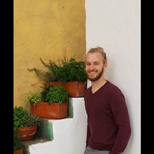 Profile image of PflanzenDad