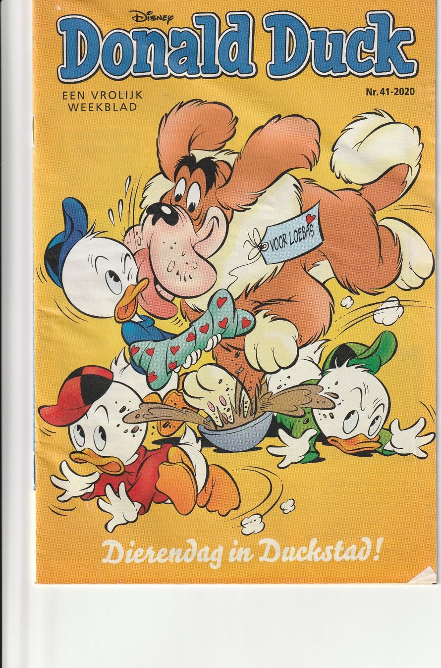 BD: Donald Duck, 5 Hefte in Holländisch – D'occasion à Düdingen par rosch1555