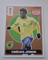 Panini Vinicius Junior Brasilien Extra