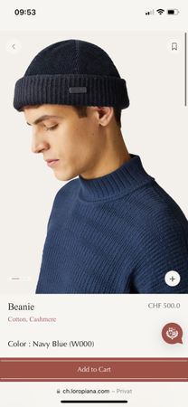 Loro piana beanie